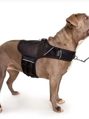 Adjustable Black Breathable No-Pull Dog Harness for Large Breeds